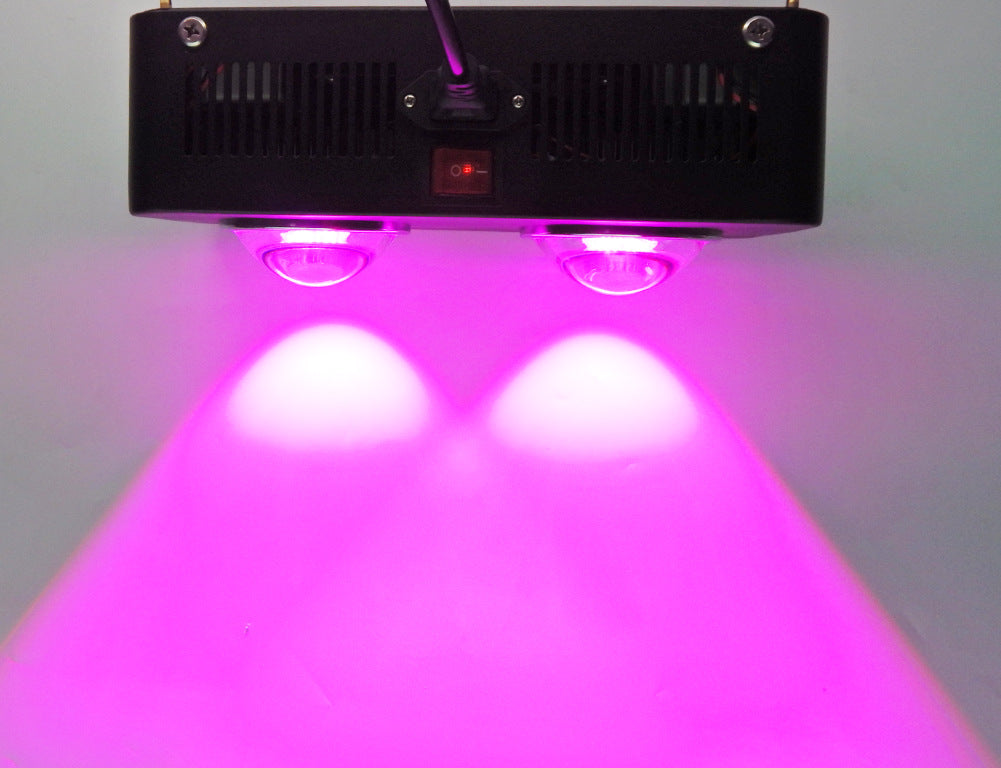 double cob weed grow light