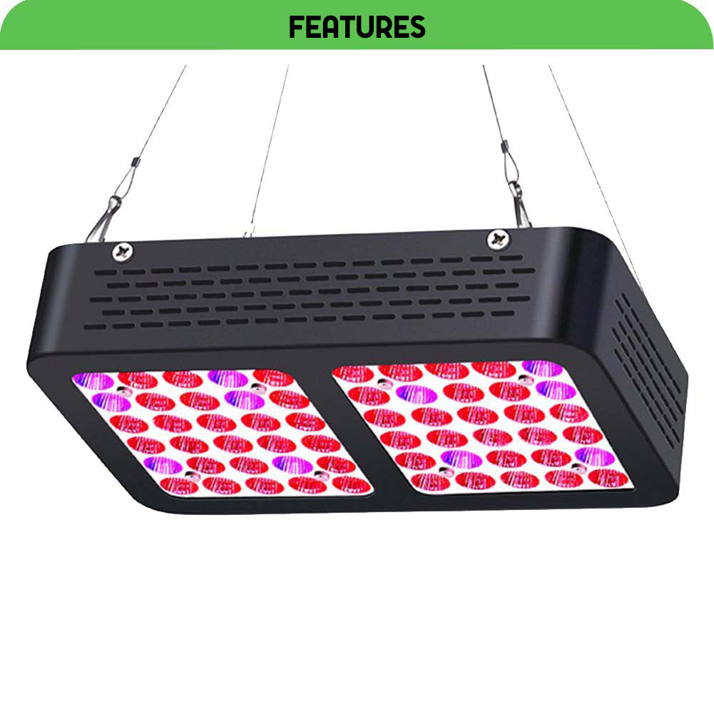 600W Weed plant grow lights full spectrum led 60pcsx10w