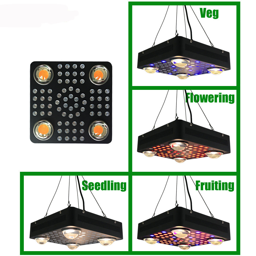 4pcs CXB  2550umol/30cm1000W led weed grow light