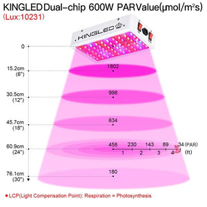 1000w LED Grow Light Double Chips Full Spectrum with UV and IR for Greenhouse Indoor Plant Veg and Flower