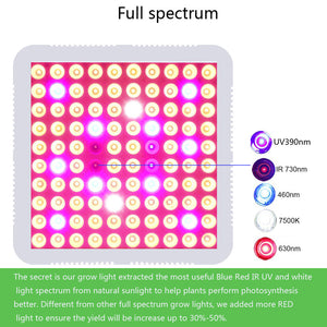 300W led low light plants full spectrum home depot grow lights